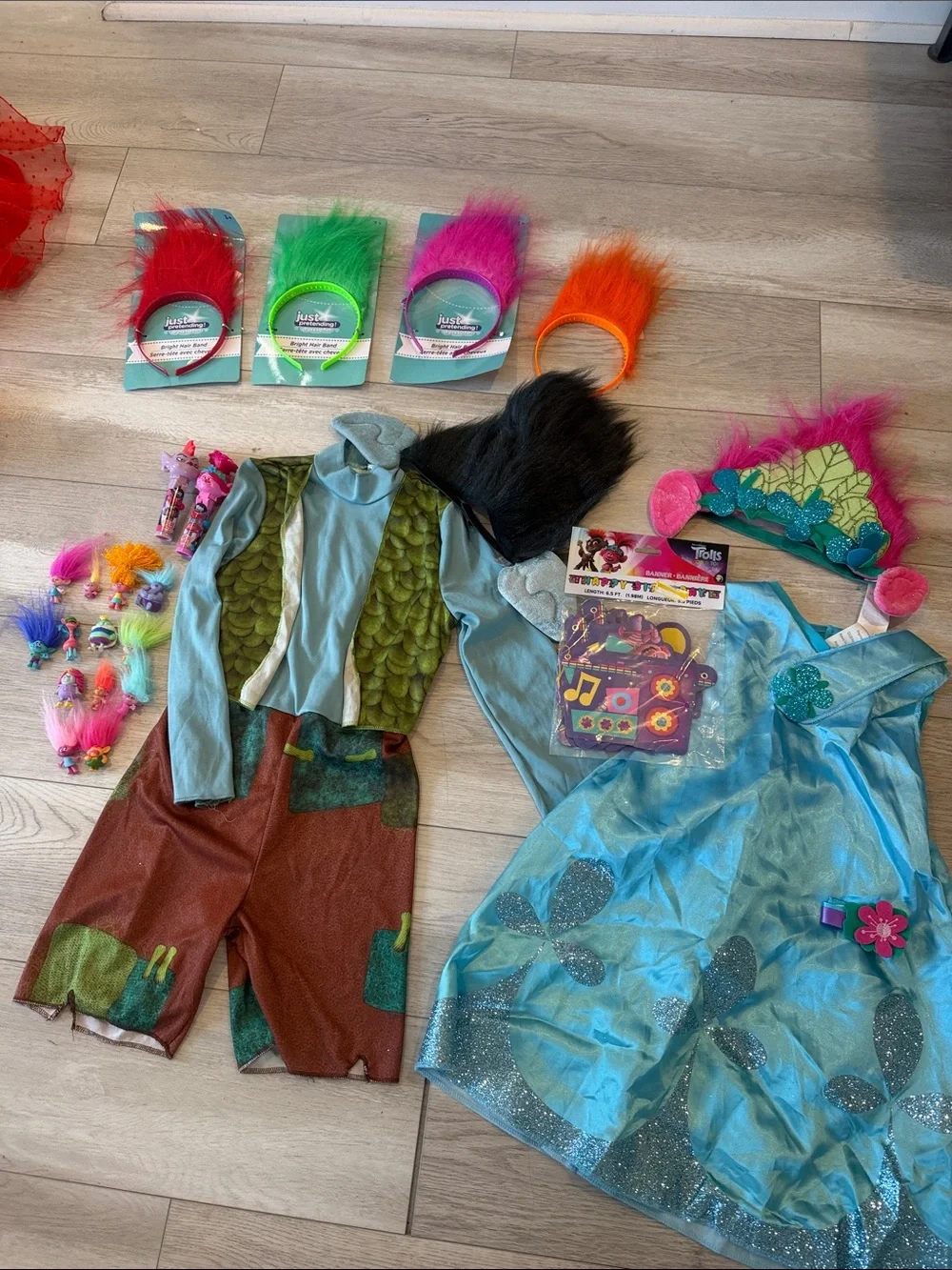 25 piece Trolls Costume Set Poppy and Branch Kids with Accessories